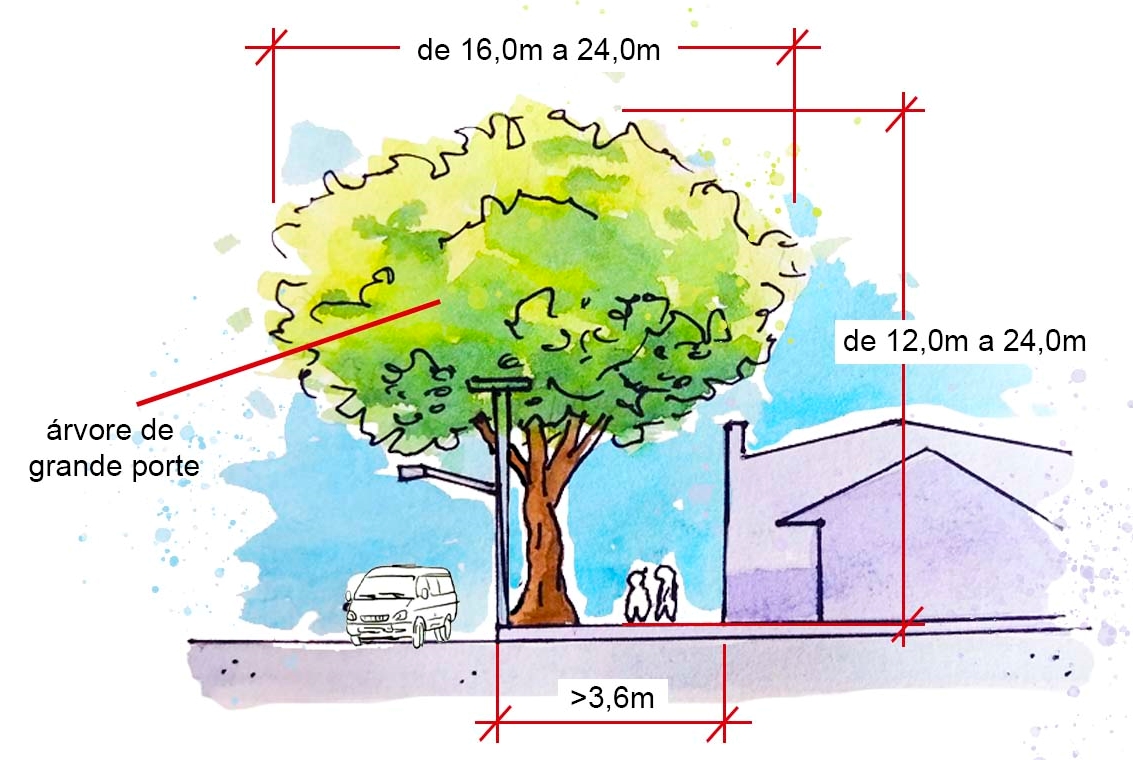 Calçada com árvore de grande porte